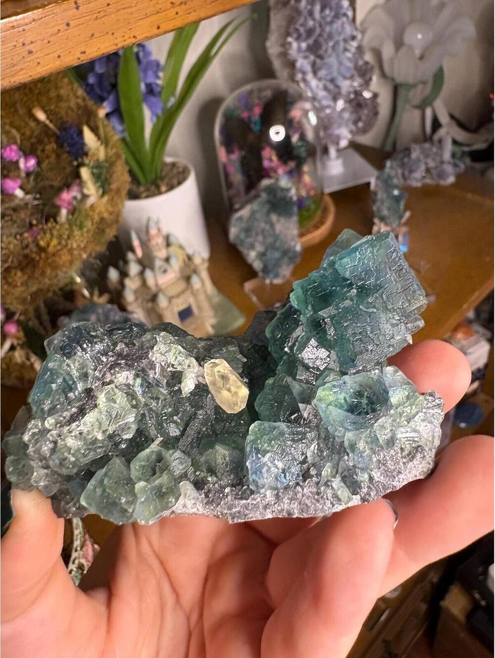 Blue-Green Fluorite on Sphalerite | Natural Mineral Specimen | China
